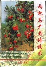 枸杞高产栽培<em>技术</em>