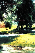 <em>八十</em>八团志