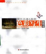 高等学校设计类专业教材  色彩写生指导书