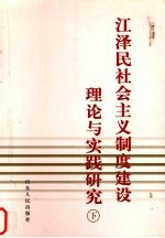 江泽民社会主义制度建设理论与实践研究  下