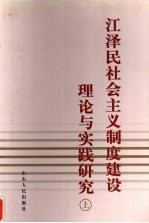 江泽民社会主义制度建设理论与实践研究  上