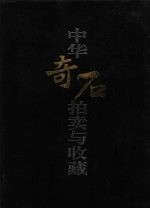 中华奇石拍卖与收藏  下