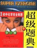 新课程初中专题优化超级题典  化学