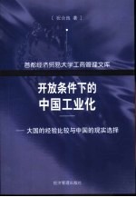 开放条件下的中国工业化  大国的经验比较与中国的现实选择
