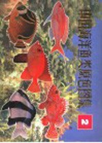 中国<em>海洋</em>鱼类原色图集 2