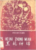 黑妮种棉