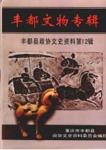 丰都县<em>政协</em><em><em>文史</em><em>资料</em></em>  <em>第</em>12<em>辑</em>  丰都文物专<em>辑</em>