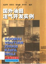 国外油田注气开发实例