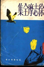 <em>徐志</em>摩全集