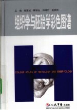 组织学与胚胎学彩色图谱