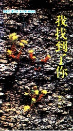 东方诗卷  我找到了你