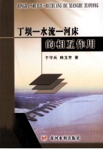 丁坝-水流  河床的相互作用
