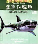 看我们如何生活  上  鲨鱼和鳐鱼