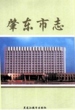 肇东市志  1982-2000