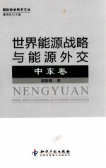 世界能源战略与能源外交  中东卷