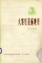 大寨红花遍地开  <em>革命</em>歌曲