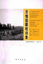 <em>茨</em>维塔耶娃诗集