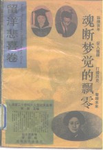 魂断梦觉的飘零