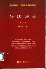 公法评论  第2卷
