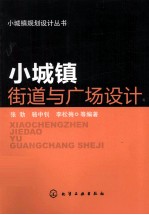 小城镇规划设计丛书  小城镇街道与广场设计
