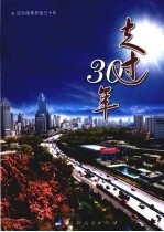 走过30年  纪念改革开放三十年