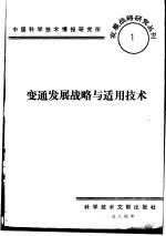 变通发展战略与适用<em>技术</em>