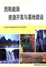 西南能源<em>资源</em>开发与基地建设
