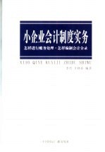 小企业会计制度实务  怎样进行账务处理·怎样编制会计分录