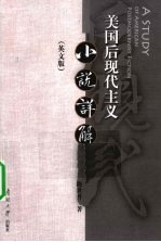 美国后现代主义小说详解  英文版