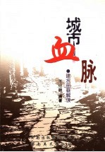 城市血脉  建水街巷解读