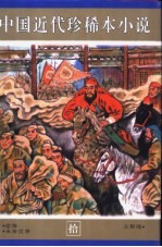 中国近代珍稀本小说  10