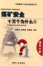 煤矿安全十万个为什么  1  通用分册