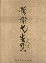 <em>黄树</em>光画集