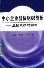 中小企业群体组织创新  虚拟组织的构建与实施