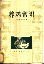 养鸡常识