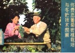 佟贵忠葡萄密植<em>栽培</em><em>与</em>冬贮<em>技术</em>图解