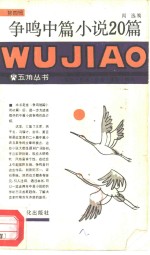 争鸣中篇小说20篇