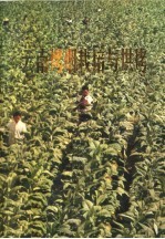 <em>云南</em>烤烟栽培与烘烤