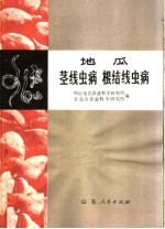 地瓜茎线虫病  根结线虫病