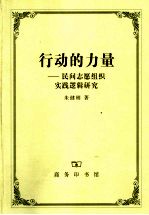 行动的力量：民间志愿组织实践逻辑研究