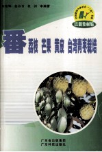 番荔枝  芒果  <em>黄皮</em>  台湾青枣栽培