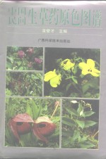 中国民间生草药原色图谱