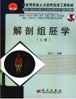 解剖组胚学  上
