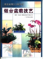 组合盆栽<em>技艺</em>