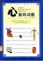 心脏<em>的</em>功能  从心脏<em>的</em>运作去了解你<em>的</em>健康