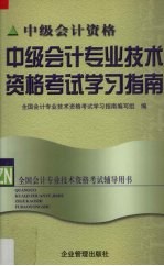 中级会计专业技术资格考试<em>学习</em>指南