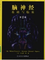 脑神经  基础与临床