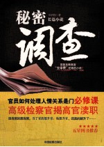 秘密调查  长篇小说