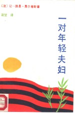 一对年轻夫妇