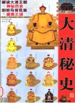 大清秘史  图文珍藏版